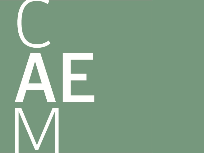 Logo CAEM